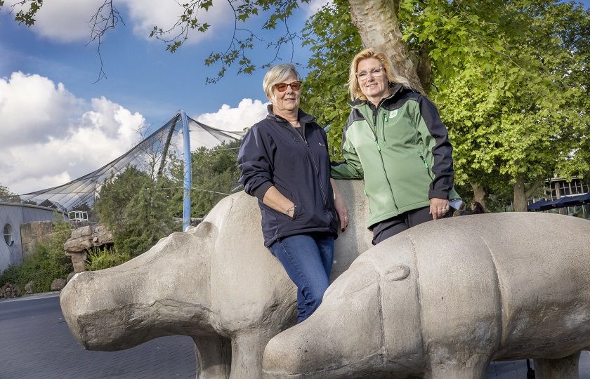 Twee vrouwen staan te poseren tussen 2 stenen nijlpaarden