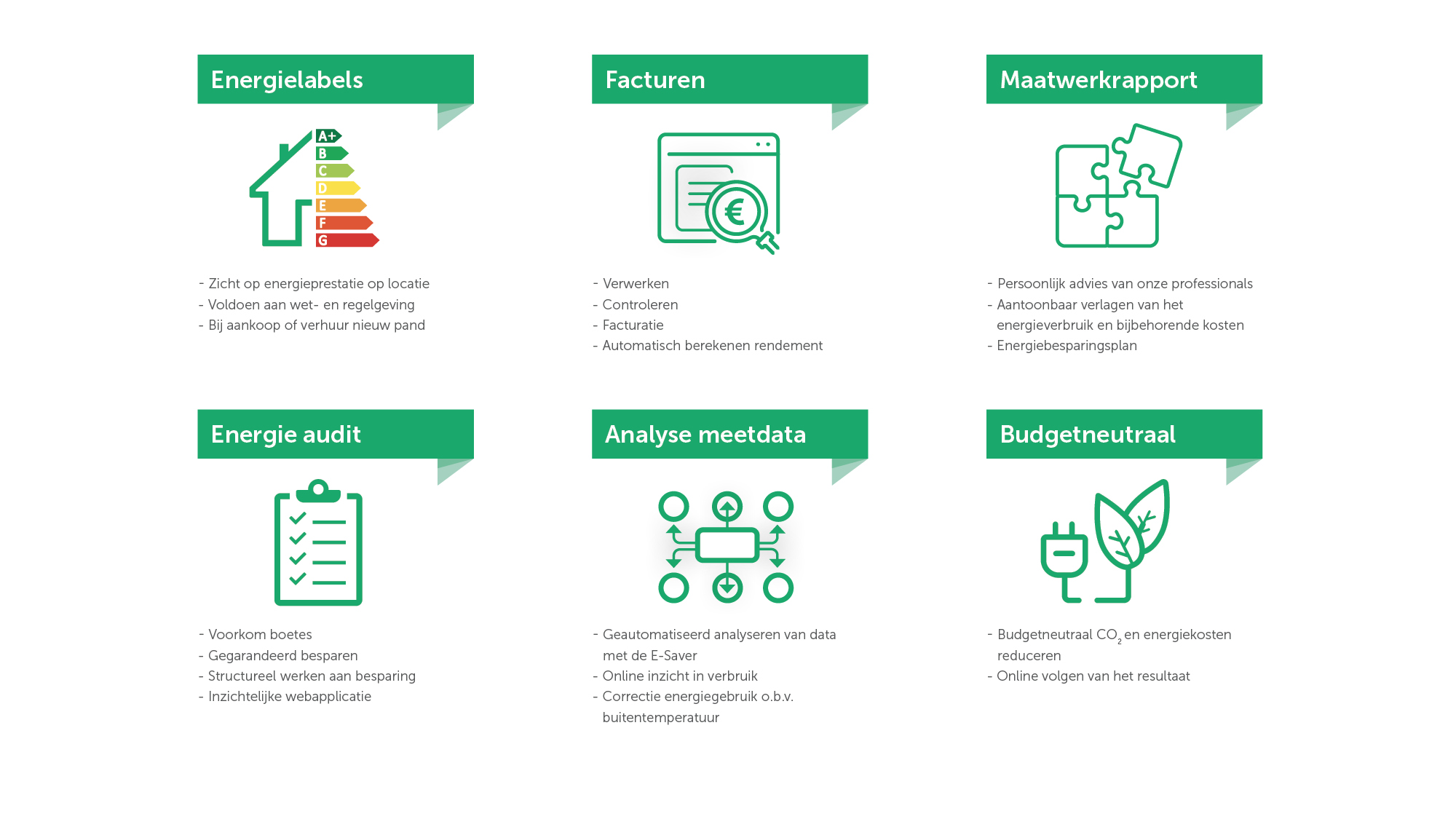inphografic met de elementen energielabels, facturen, maatwerkrapportage, energie audit, analyse meetdata en budget gerelateerdt