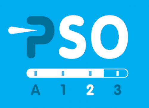 Logo - beeld PSO niveau 2