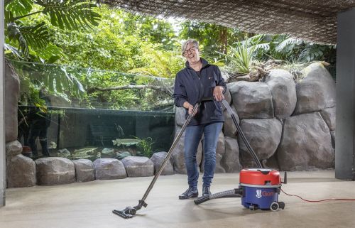 Een rayonleidster van Gom staat met een stofzuiger in haar hand in een ruimte van Diergaarde Blijdorp