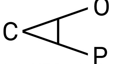 Logo CAOP Logo CAOP