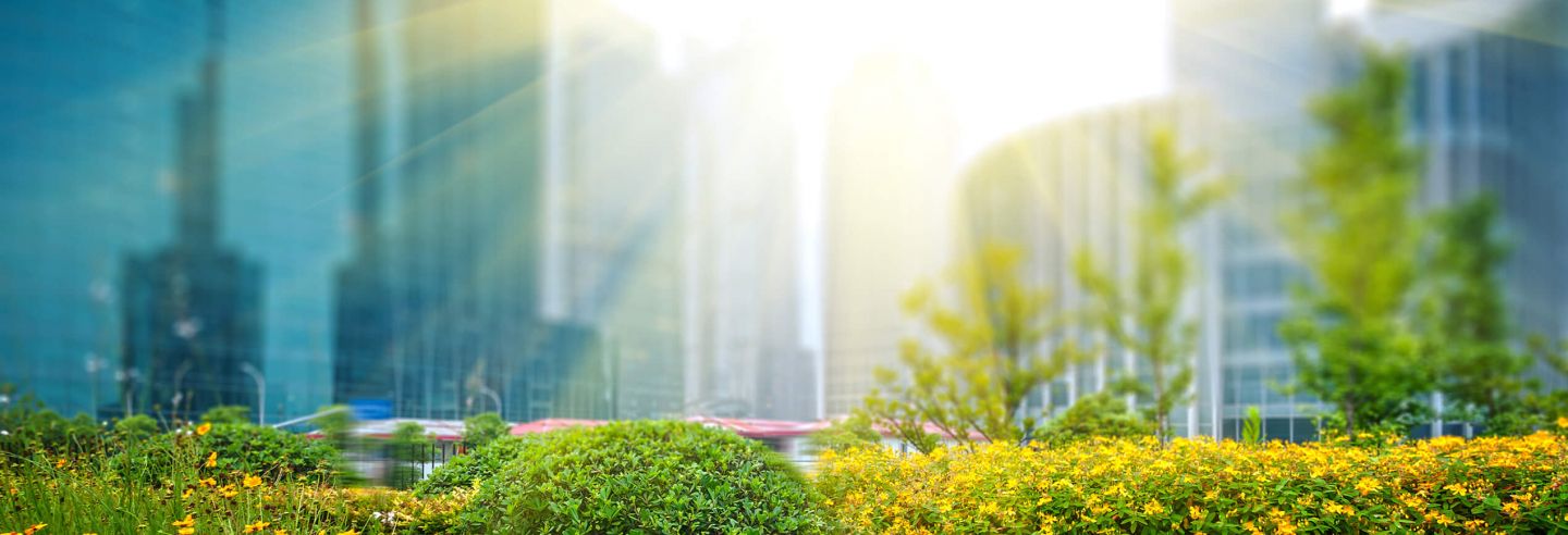 Een aantal gebouwen gevangen door zonnestralen met een groene tuin op de voorgrond