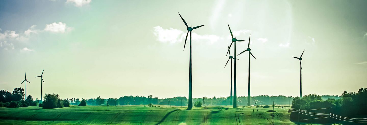 Een groen veld, blauwe lucht een stralende zon met in het veld windmolens.