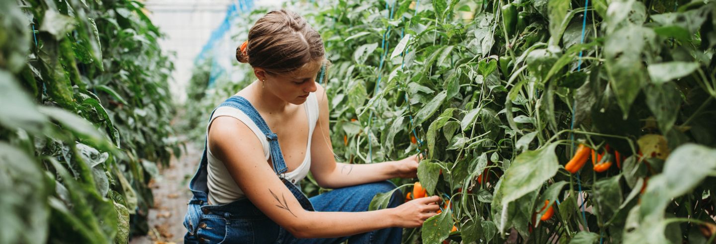 Food&I: inclusiviteit