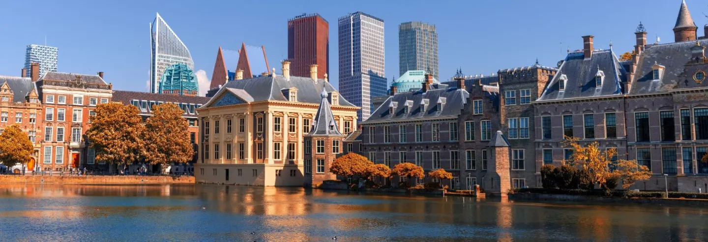 Gom schoonmaak Den Haag