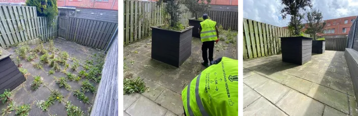Drie foto's van een tuintransformatie: eerst een betegeld terras vol onkruid, daarna een medewerker in geel veiligheidshesje die het onkruid verwijdert, en tenslotte het schone terras met plantenbakken.
