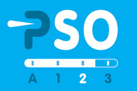 Logo - beeld PSO niveau 2