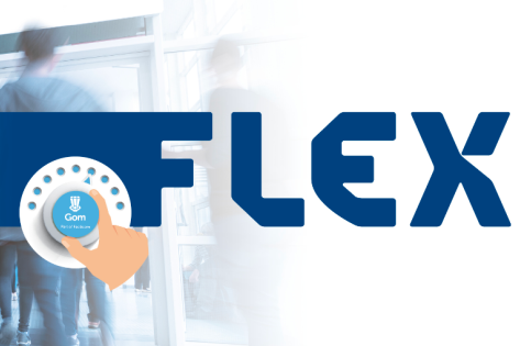 Logo van Flex 