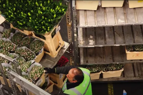 Royal Floraholland
