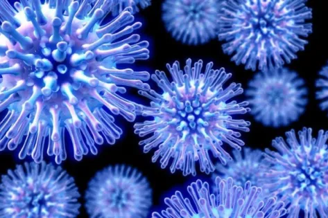 Digitale illustratie van meerdere blauwe virusdeeltjes, sterk vergroot en driedimensionaal weergegeven.